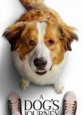 A Dog’s Journey full hd izle Köpek Dostluğu tek part filmleri