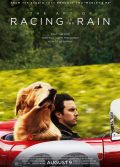 Enzo Yağmurda Yarış Sanatı full hd izle 2019 hayvan filmleri